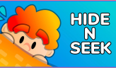 Hide N Seek